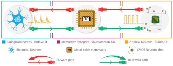 Conceptual diagram of the UDP experiment